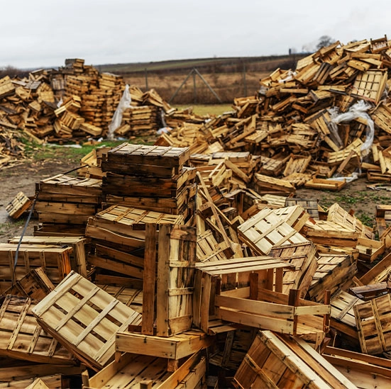 Ohne großen Aufwand Holz entsorgen
